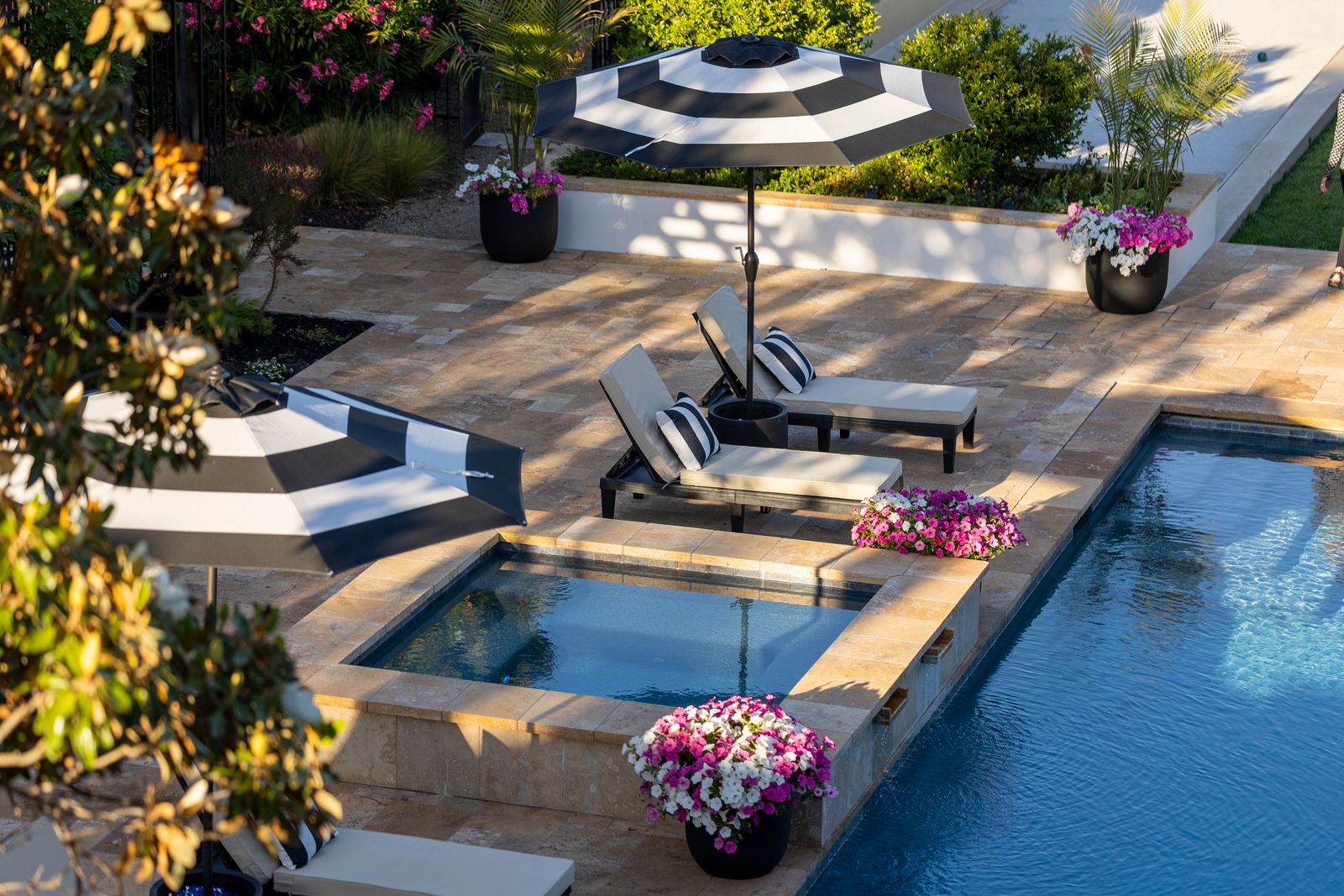 Sharkpools — Pool Builder